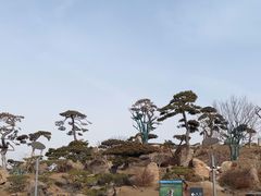 -罗红摄影艺术馆