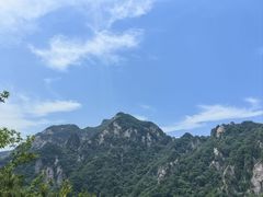 -王顺山国家森林公园