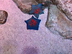 -沈阳海洋探索中心