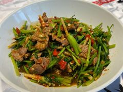 香菜炒牛肉-壹盏灯(蚂蚁工房店)
