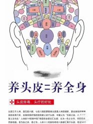 点击看大图 -舒欣头疗·俏丝谧语 白发脱发专业护理