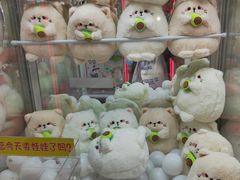 -城市动力(弘桥商城店)