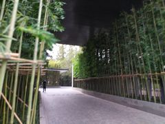 -上海璞麗酒店