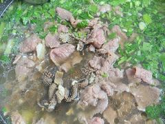 -乐山食古香跷脚牛肉