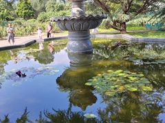 -国家植物园南园