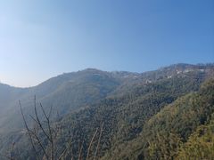 -莫干山风景区