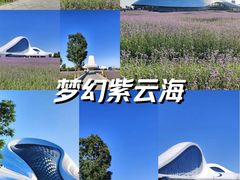 -哈尔滨大剧院
