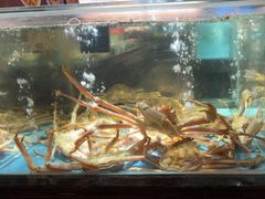 -紫阳海鲜楼·传承闽味(长乐路总店)