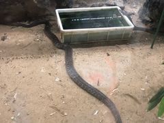 -荔城生鲜盛宴(番禺旗舰店)