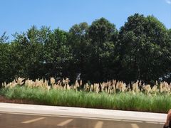 -中国天府农业博览园