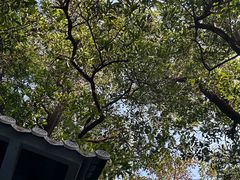 -云溪植物园