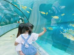 -苏州海洋馆
