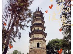 -苏州上方山国家森林公园