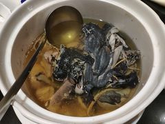鲜人参炖赤凤-新海利海鲜城·41年珠海老字号(夏湾店)