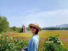景点-长兴太湖图影湿地文化园