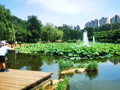 -前关湿地公园