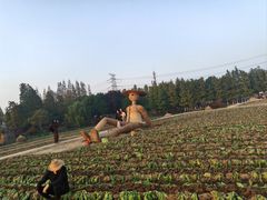 -乌村
