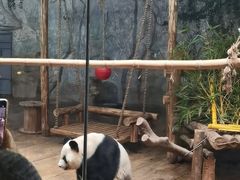 -深圳野生动物园