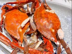-日月昇渔家菜·海肠捞饭·大连海鲜(星海公园店)