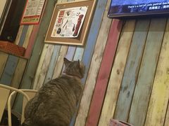 -小时光咖啡馆(开森度假森林店)
