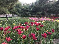 -长春公园(普阳街道)