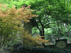 -永泉忆江南12景区