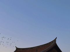 -建国蚵煎蚵面