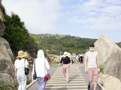 -广东惠东海龟国家级自然保护区