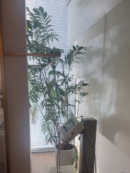 -HYOUNG 禾漾·BTL官方美学中心