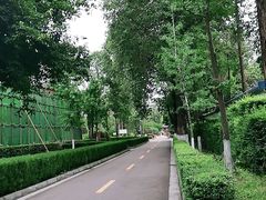 -四川大学(华西校区)