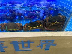 -七欣天香辣蟹火锅(苏州相城VIP总店)