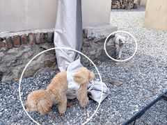 -小时光咖啡馆(开森度假森林店)