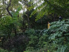 -蝴蝶泉公园