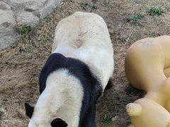 -栾川竹海野生动物园