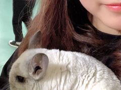-藦茜花园宠物主题亲子互动体验馆(国顺东路店)