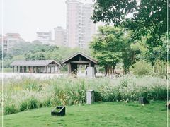 -映月湖公园