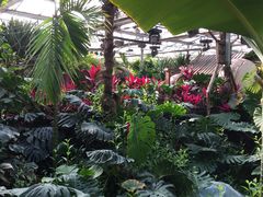 -呀路古热带植物园