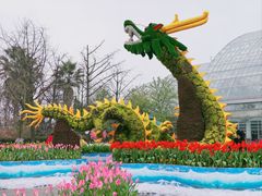 -南山植物园