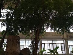 -龙脉温泉室内游泳馆