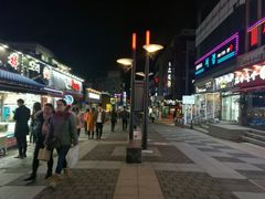 -宝健路步行街(Pedestrian Shopping Street)