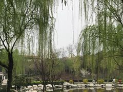 -西安青龙寺遗址景区