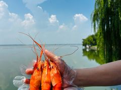 -蟹天蟹地农家菜·阳澄湖大闸蟹(浅水湾店)