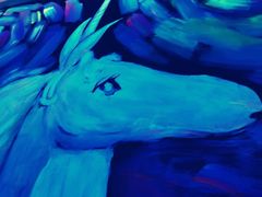 -深圳独角兽星空艺术馆
