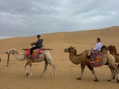-银肯塔拉沙漠生态旅游景区