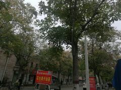 -洛阳周公庙博物馆