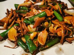 茶树菇炒八爪鱼-桂满陇-十里风荷(合生汇店)
