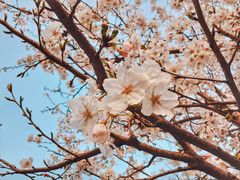 -湖北中医药大学(昙华林校区)