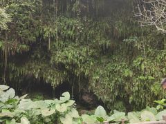 -海口火山口国家地质公园