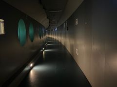 -白鹤梁水下博物馆