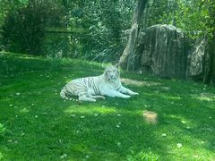 -北京野生动物园